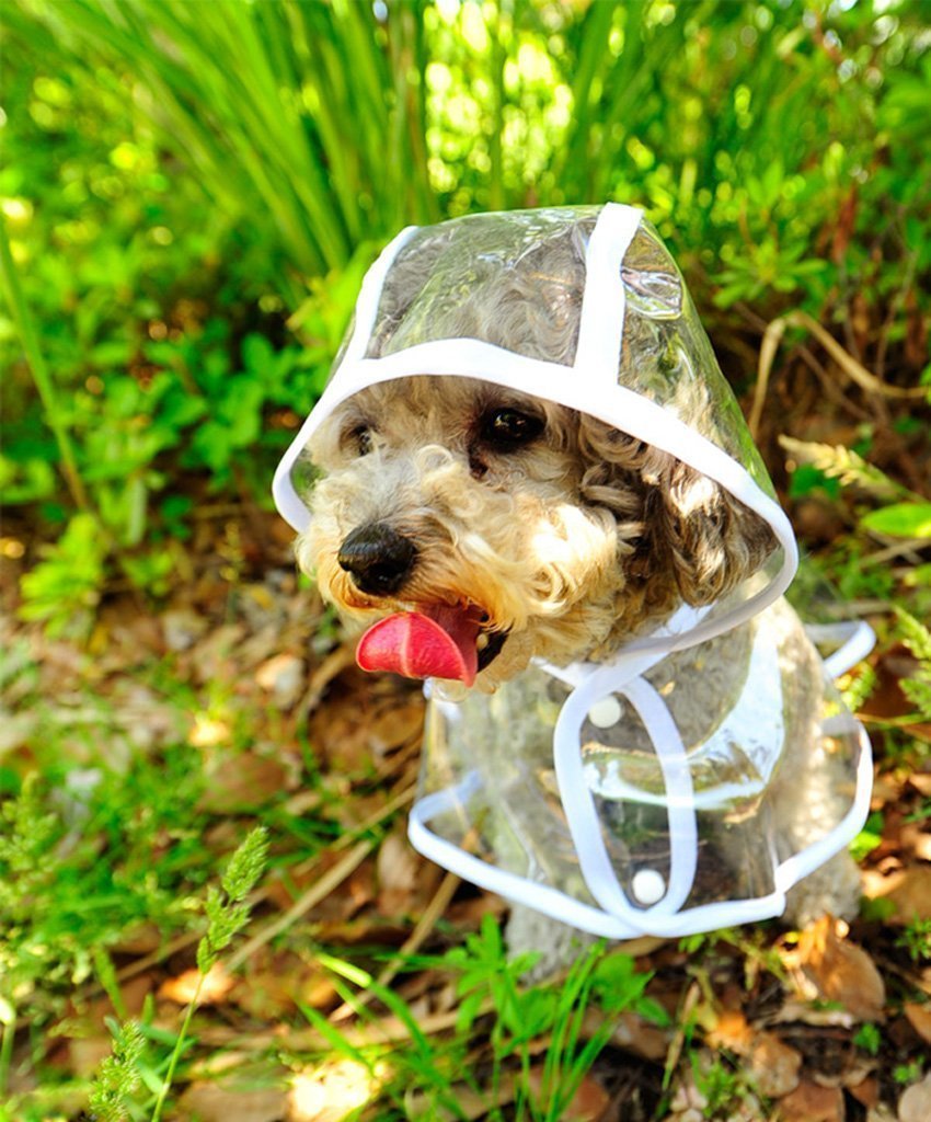 Pet Transparent Hooded Raincoat for Small Dogs (Bonus Dog Boots)