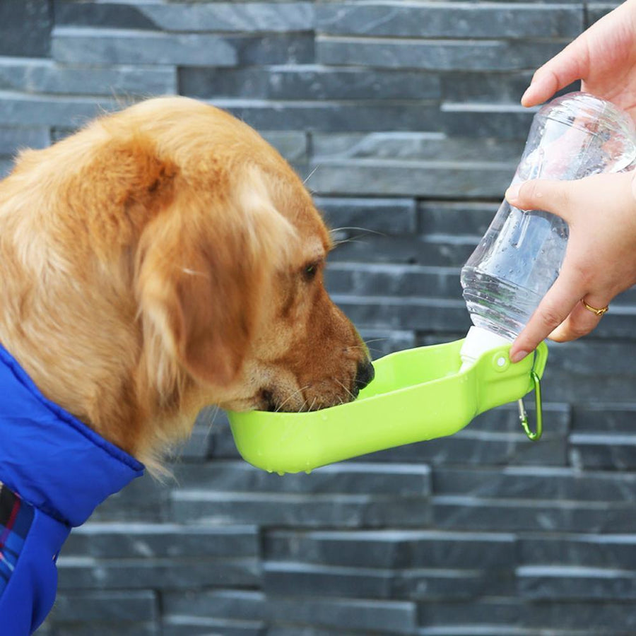 Foldable Pet Water Dispenser Drinking Feeder