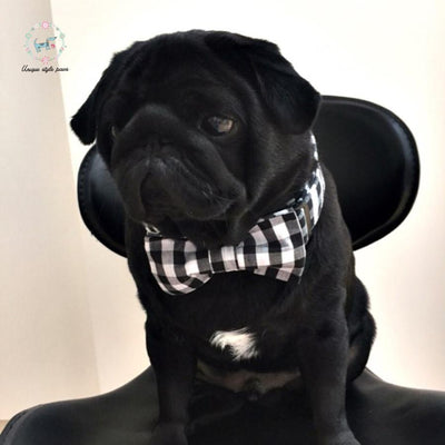 Black and white plaid dog collar set with bow tie