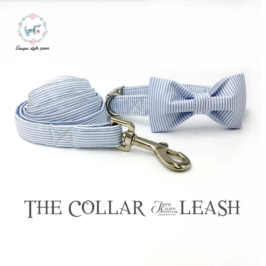 Blue striped dog collar set with bow tie and leash