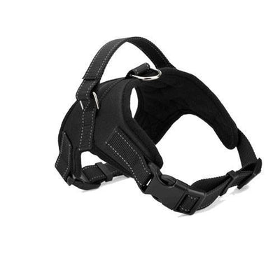 Adjustable Dog Harness Collar