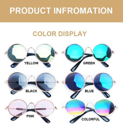 Pet Sunglasses