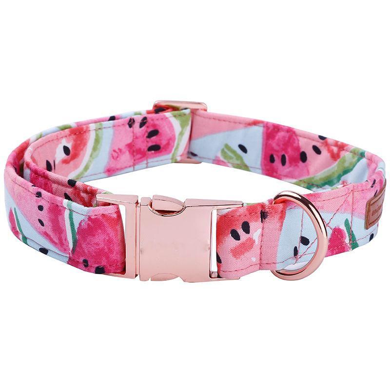 Watermelon pink dog collar and leash set with bow tie