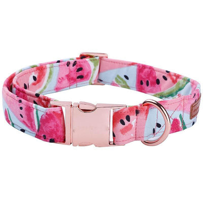 Watermelon pink dog collar and leash set with bow tie