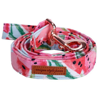 Watermelon pink dog collar and leash set with bow tie
