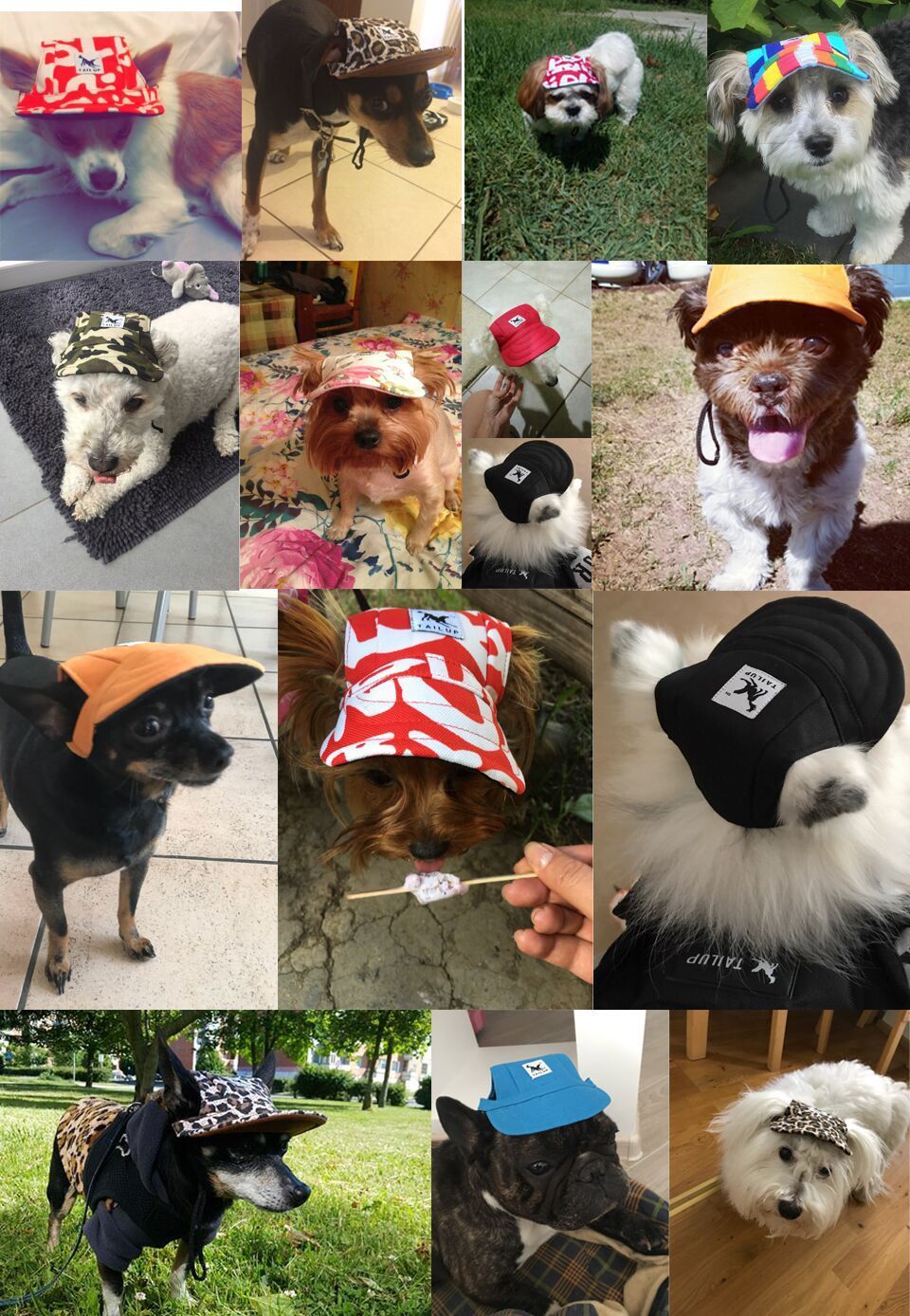 TAILUP Print Baseball Dog Hat for Small Dogs